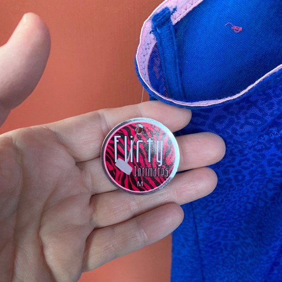 Lingerie-Nature’s intimates sheer lingerie,blue/pink, 36b - Picture 16 of 16